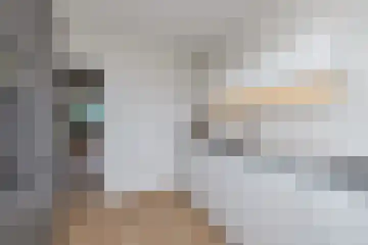 Zernikelaan 430 Papendrecht thumbnail 17