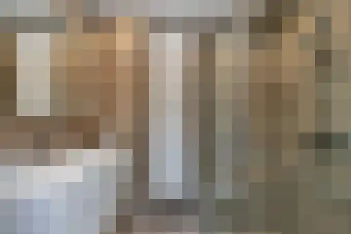 Zernikelaan 430 Papendrecht thumbnail 19