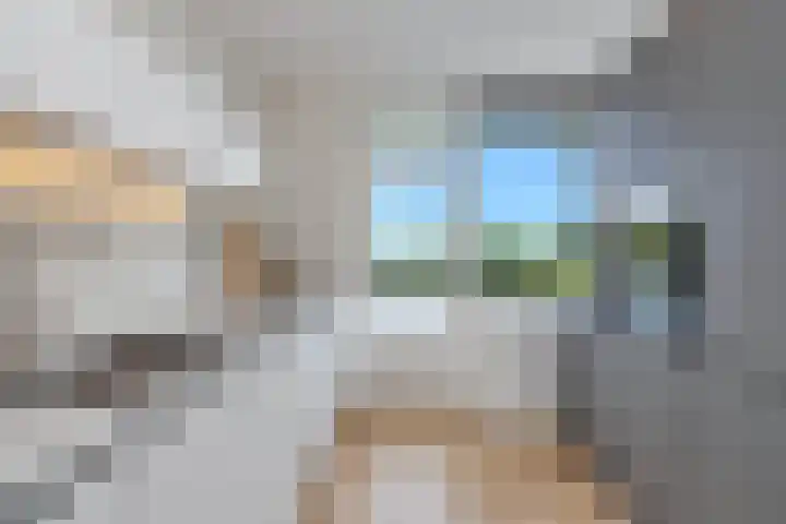 Zernikelaan 430 Papendrecht foto 2
