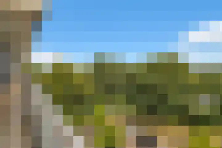 Zernikelaan 430 Papendrecht thumbnail 28