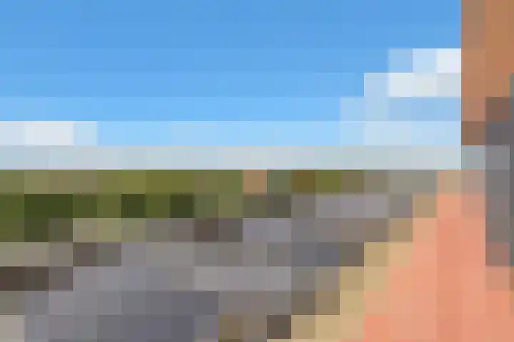 Zernikelaan 430 Papendrecht thumbnail 29
