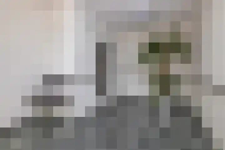 Zernikelaan 430 Papendrecht thumbnail 30