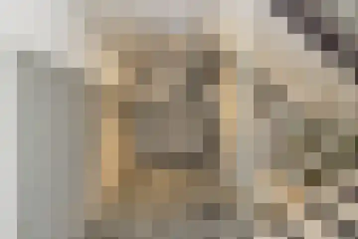Zernikelaan 430 Papendrecht thumbnail 32