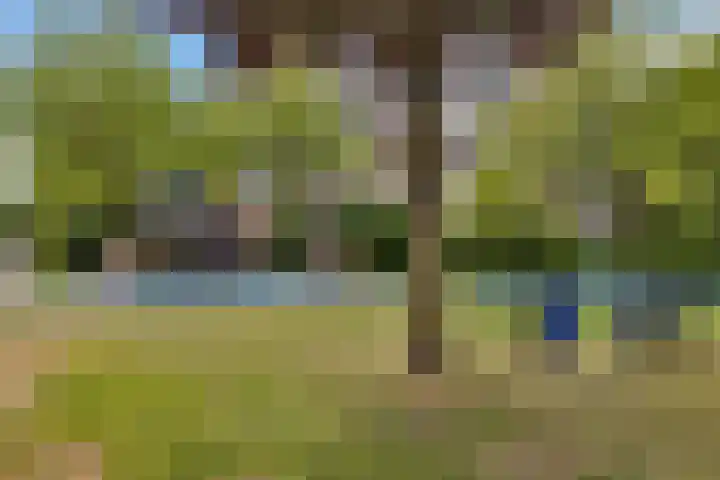 Zernikelaan 430 Papendrecht thumbnail 35