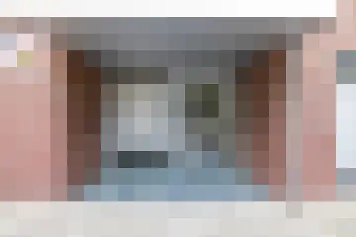 Zernikelaan 430 Papendrecht thumbnail 4