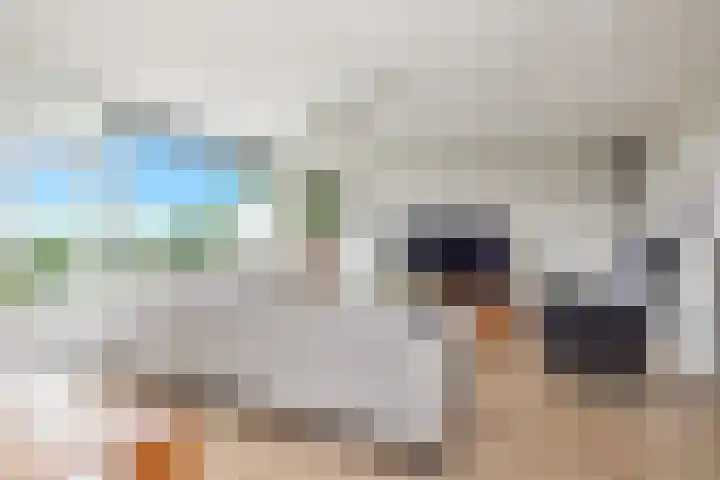 Zernikelaan 430 Papendrecht thumbnail 7