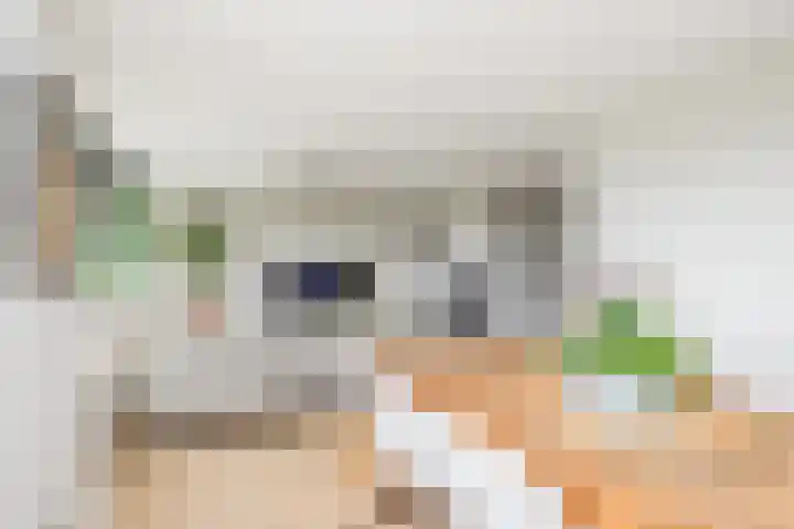 Zernikelaan 430 Papendrecht thumbnail 8