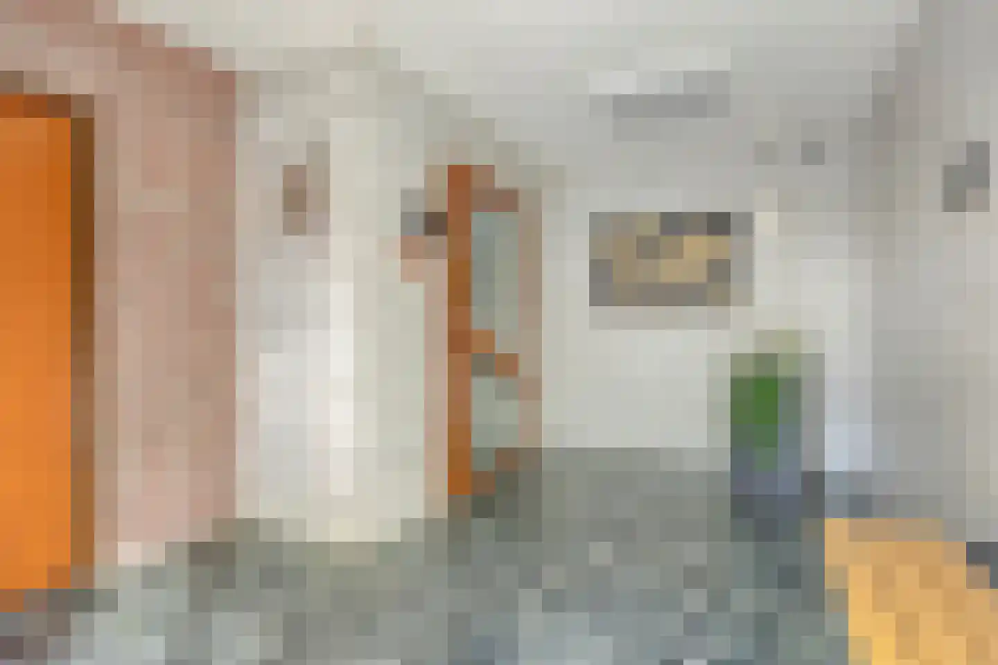Zernikelaan 488 Papendrecht thumbnail 11