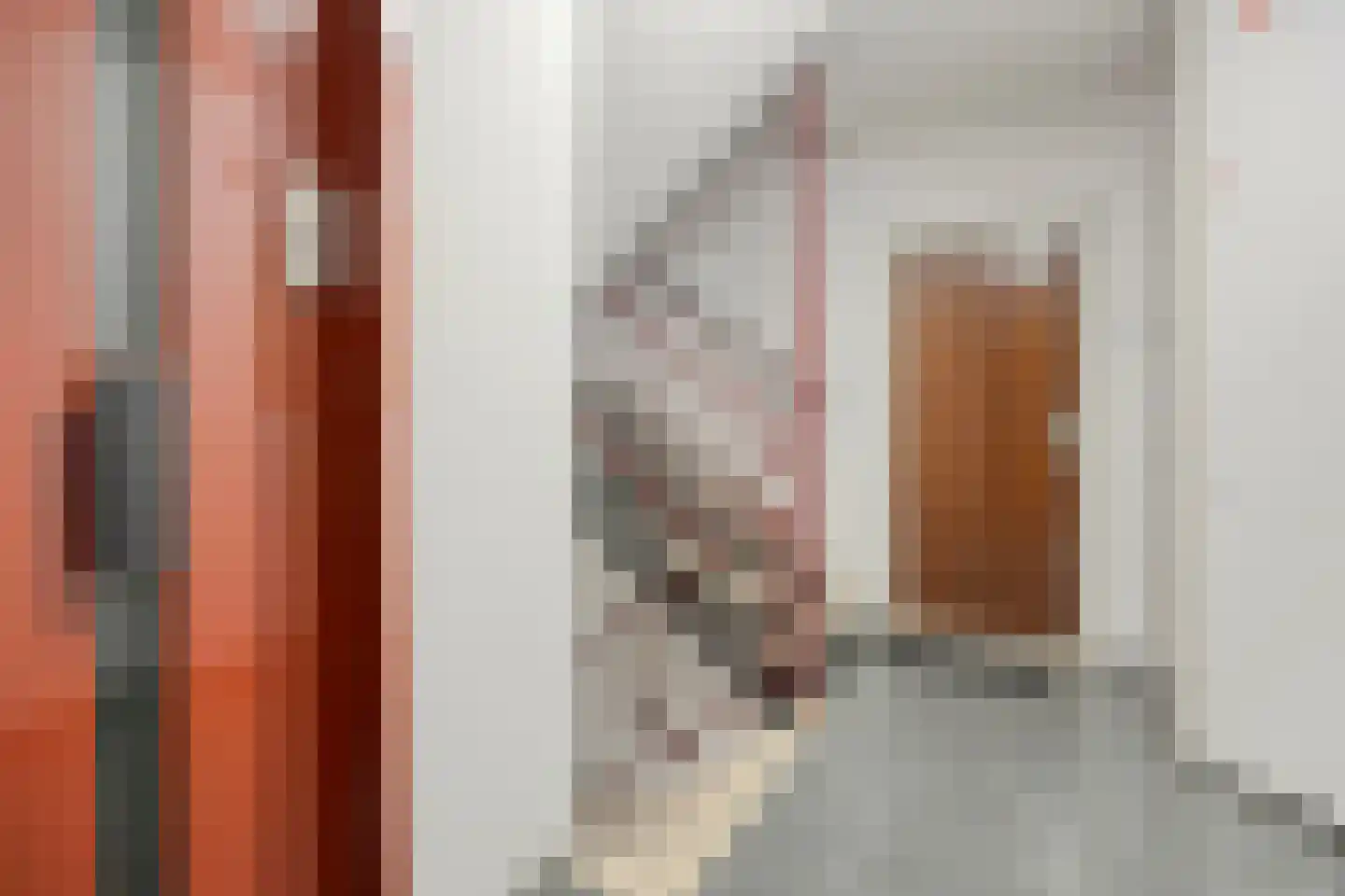 Zernikelaan 488 Papendrecht thumbnail 13