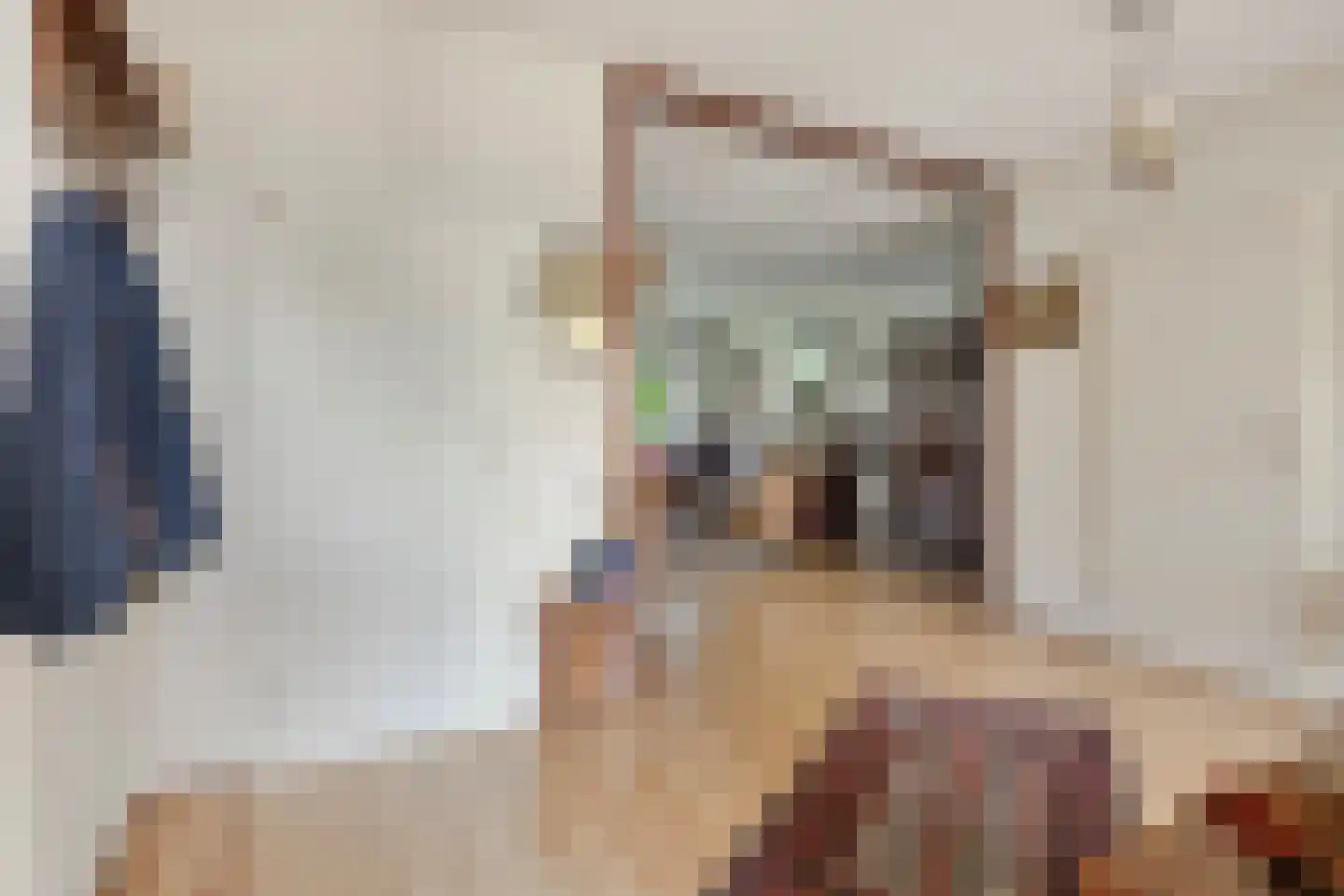Zernikelaan 488 Papendrecht thumbnail 14