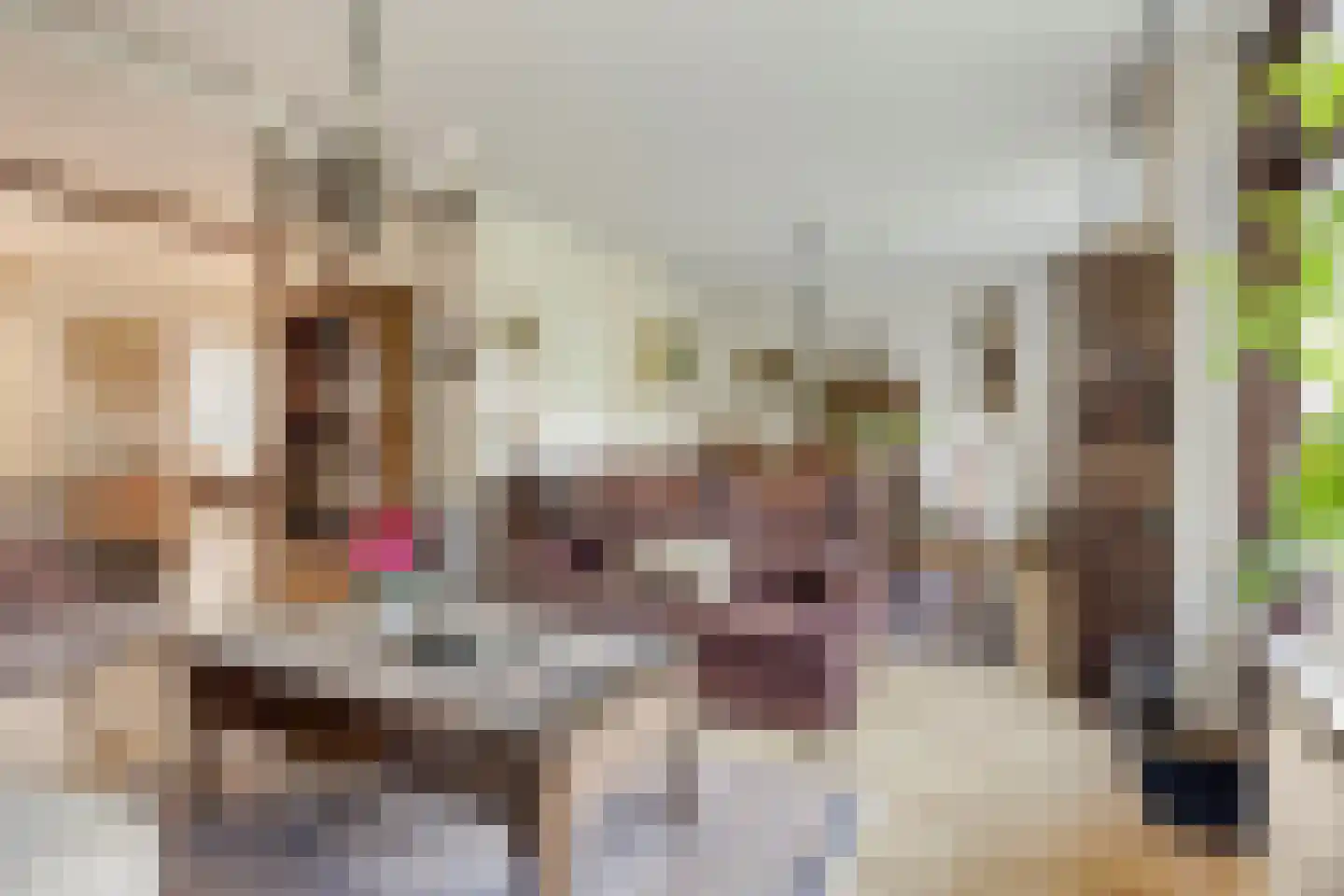 Zernikelaan 488 Papendrecht thumbnail 18