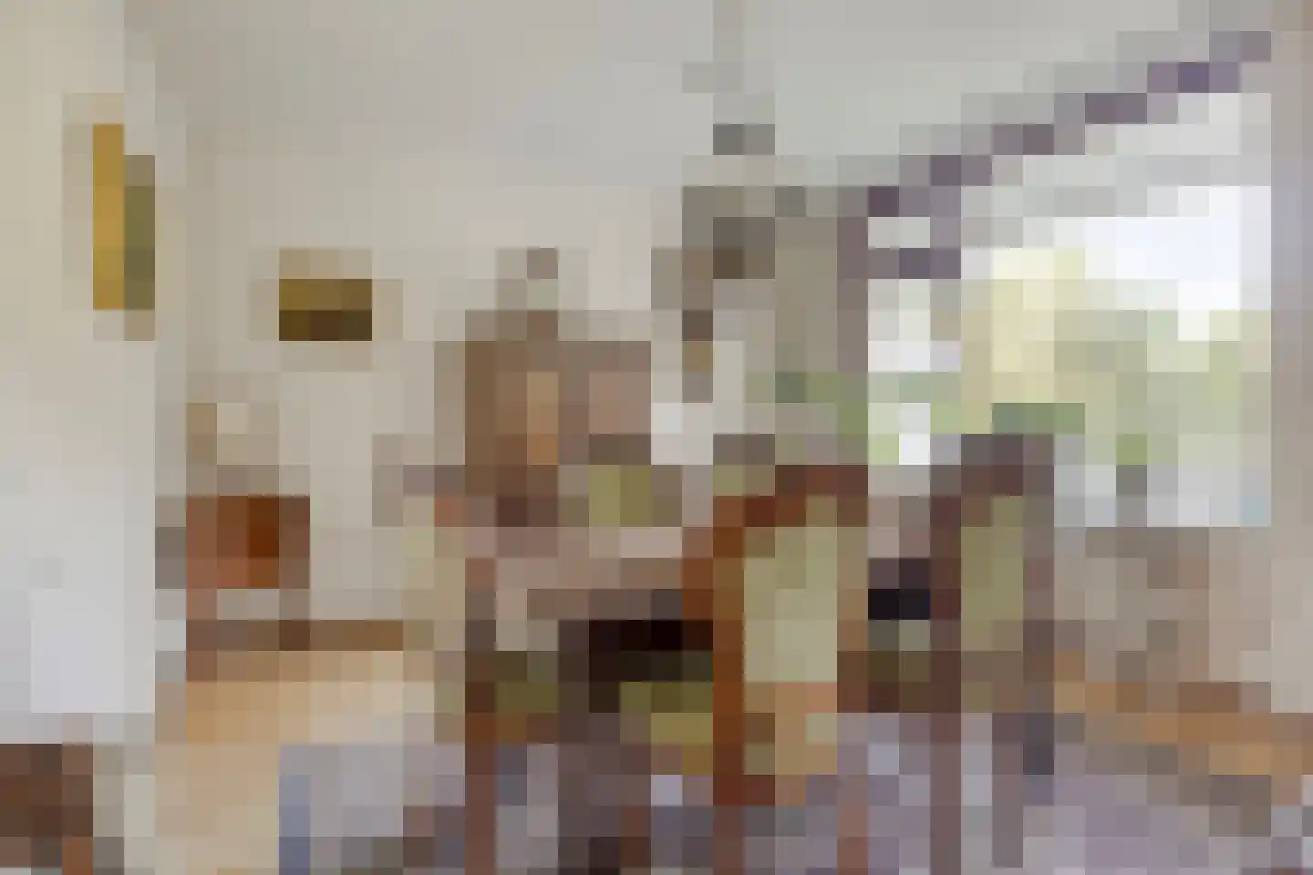 Zernikelaan 488 Papendrecht thumbnail 19