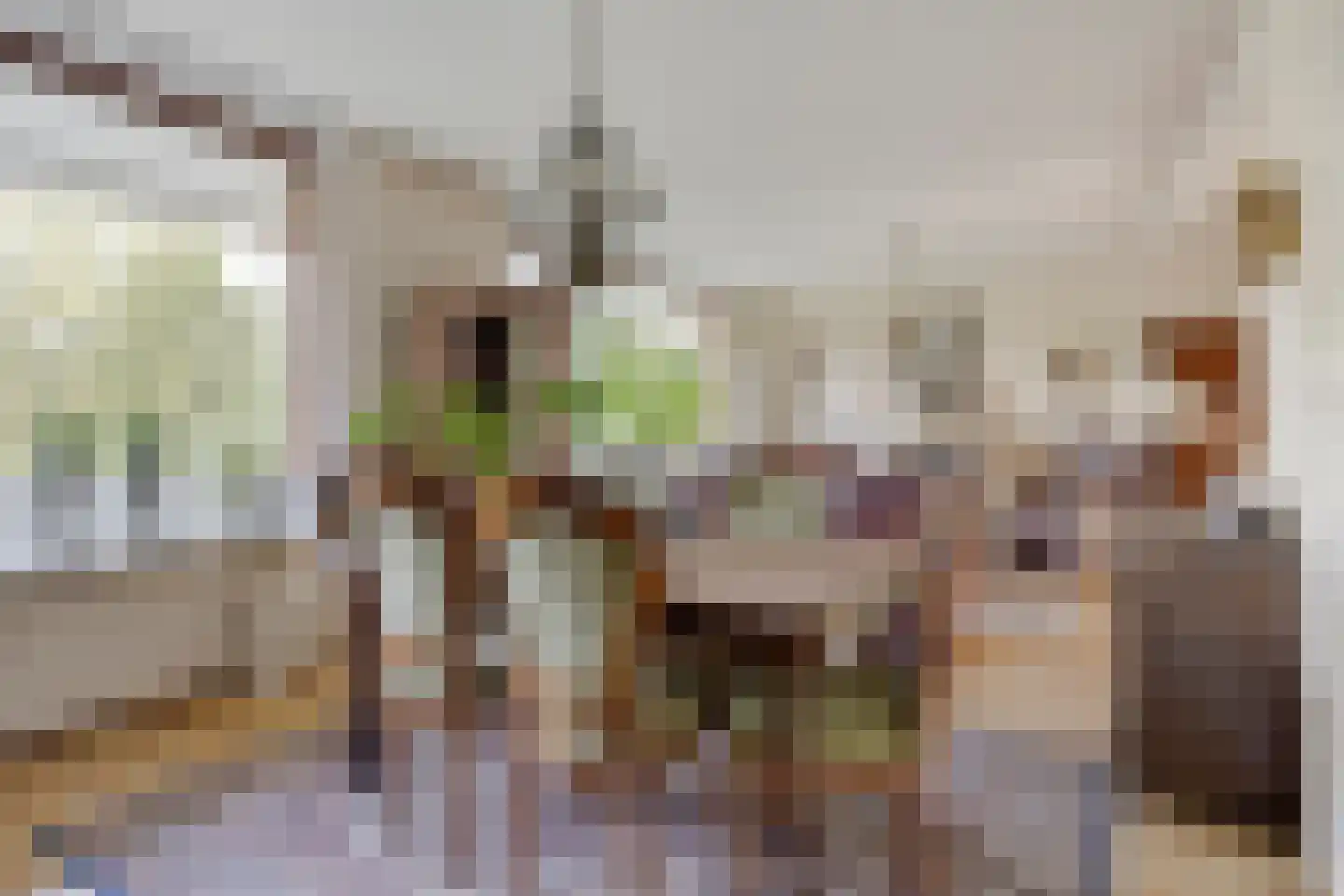 Zernikelaan 488 Papendrecht thumbnail 20