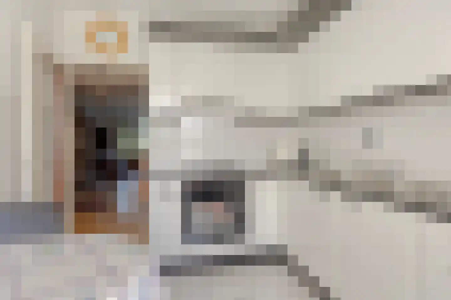 Zernikelaan 488 Papendrecht thumbnail 22
