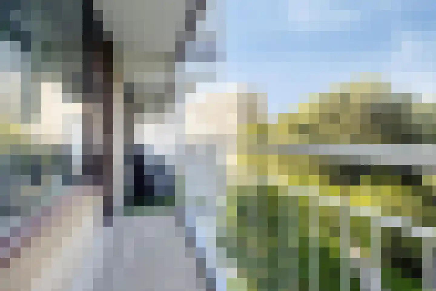 Zernikelaan 488 Papendrecht thumbnail 29
