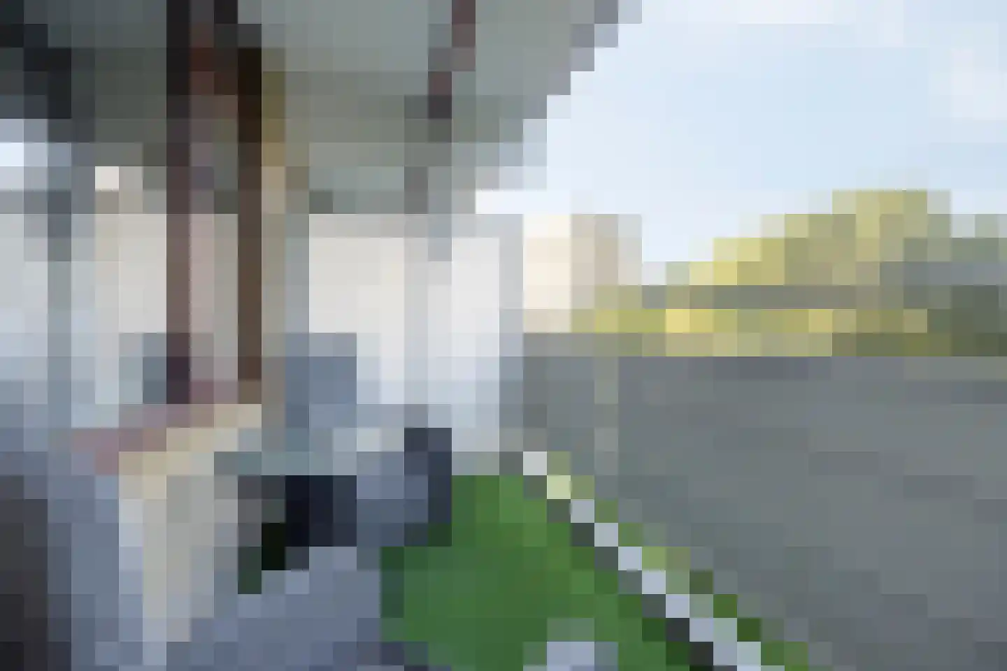 Zernikelaan 488 Papendrecht thumbnail 30