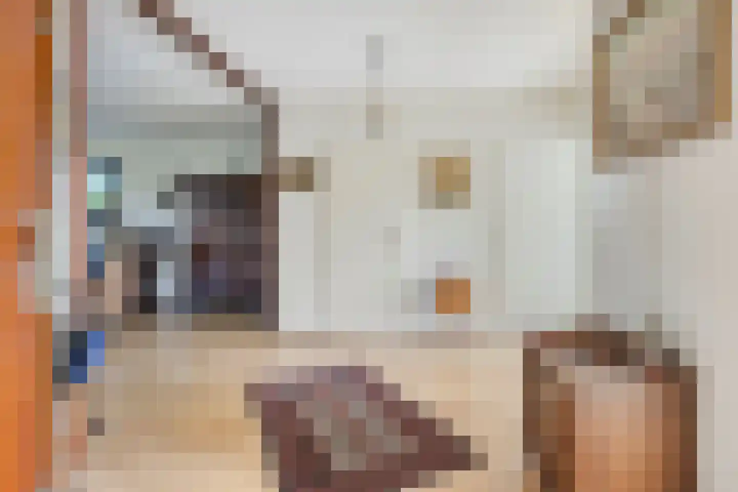 Zernikelaan 488 Papendrecht thumbnail 4