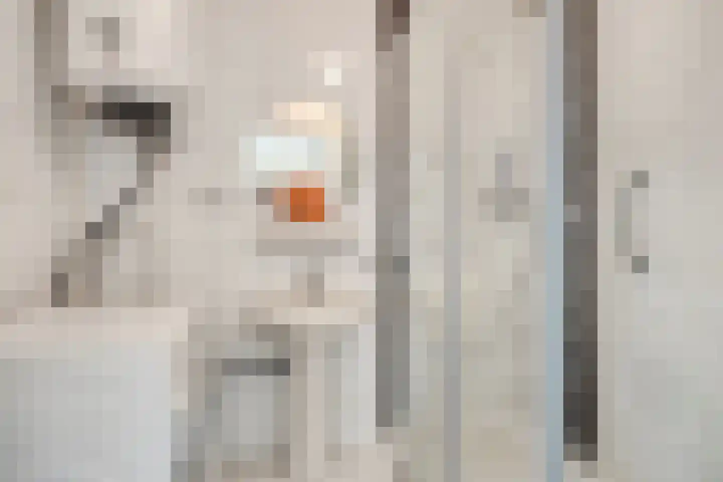 Zernikelaan 488 Papendrecht thumbnail 6