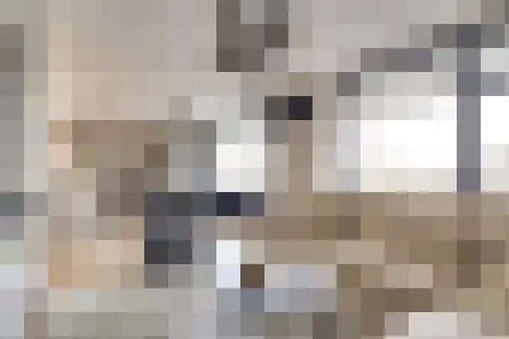 Zernikelaan 498 Papendrecht thumbnail 10