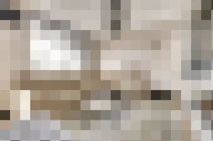 Zernikelaan 498 Papendrecht thumbnail 12