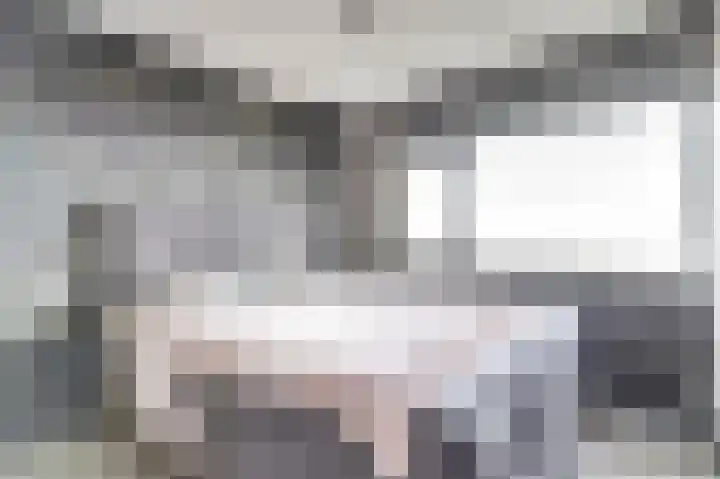 Zernikelaan 498 Papendrecht thumbnail 18
