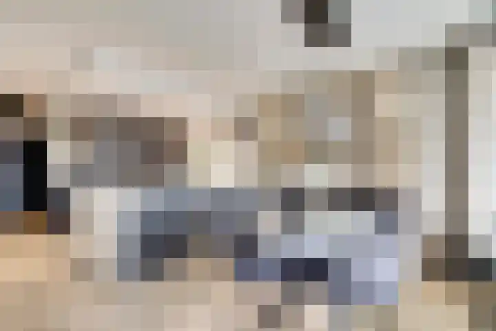 Zernikelaan 498 Papendrecht foto 2