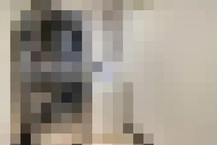 Zernikelaan 498 Papendrecht thumbnail 21