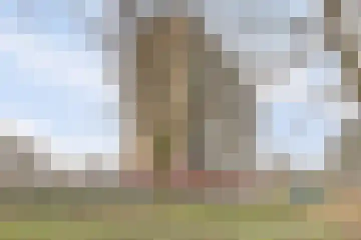 Zernikelaan 498 Papendrecht thumbnail 27