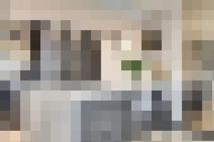 Zernikelaan 498 Papendrecht foto 3