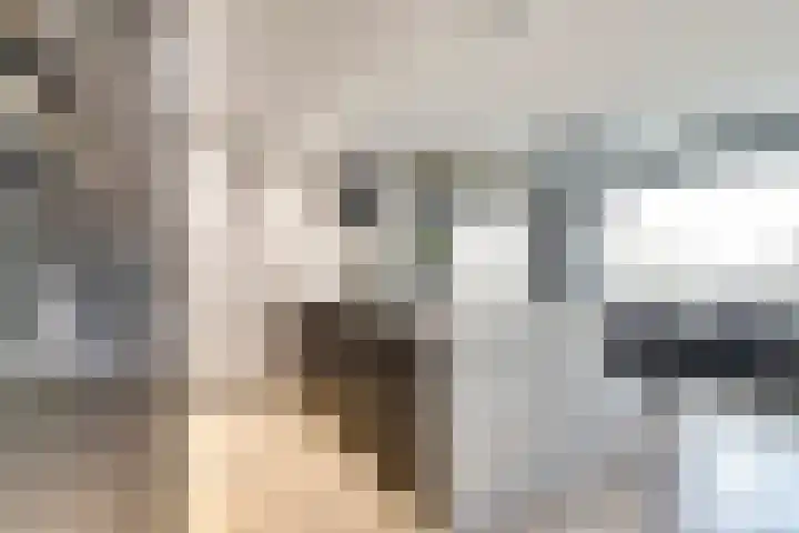 Zernikelaan 498 Papendrecht thumbnail 4