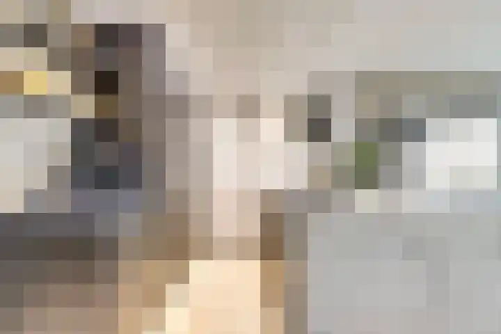 Zernikelaan 498 Papendrecht thumbnail 5