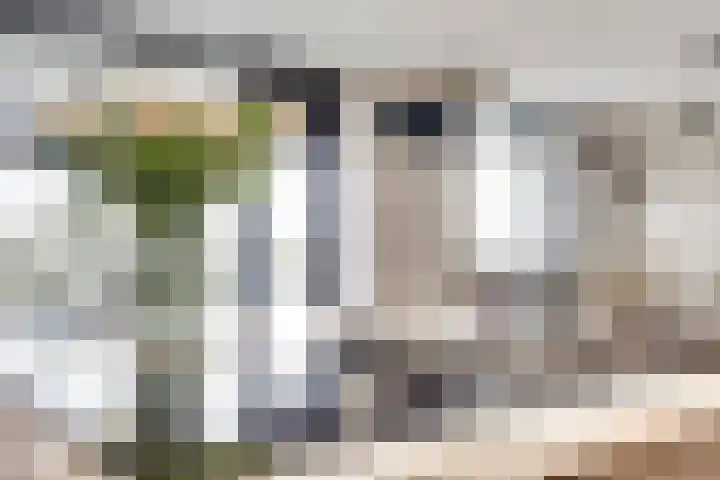 Zernikelaan 498 Papendrecht thumbnail 7