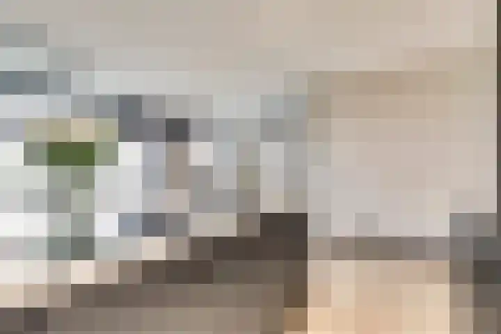 Zernikelaan 498 Papendrecht thumbnail 8