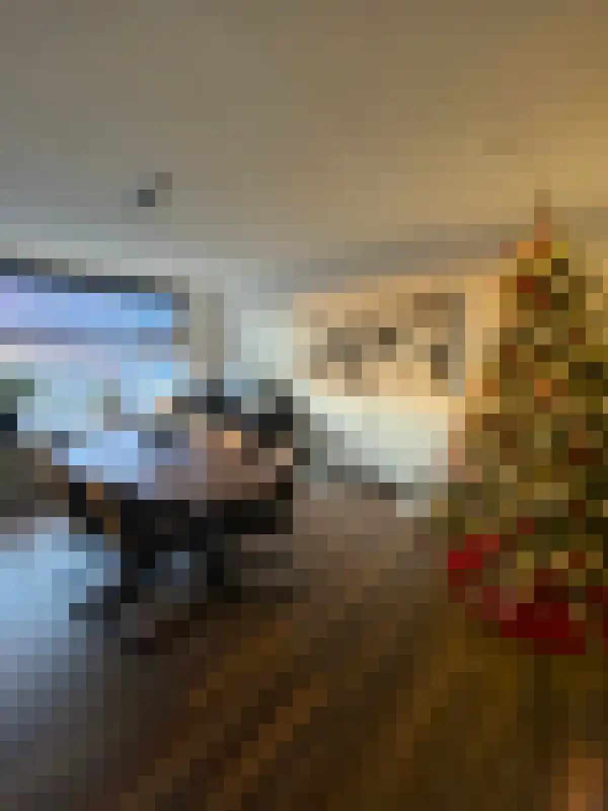 Zernikelaan 512 Papendrecht foto 3