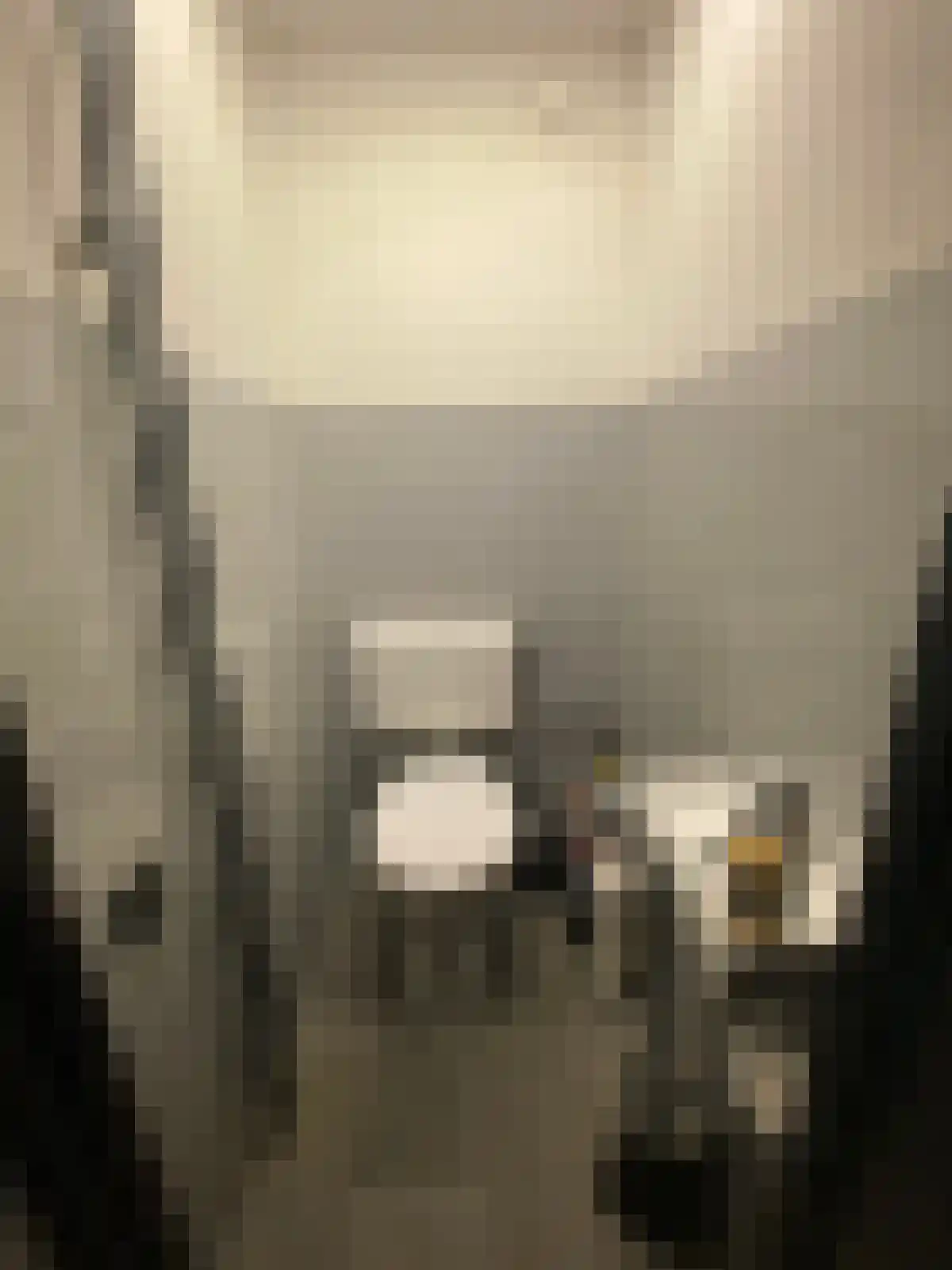 Zernikelaan 512 Papendrecht thumbnail 6