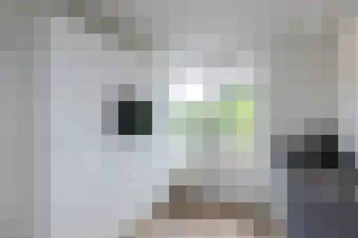 Zernikelaan 524 Papendrecht thumbnail 11