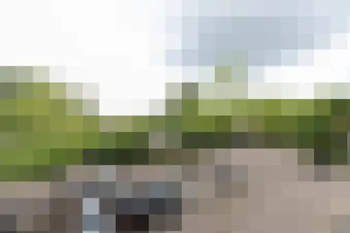 Zernikelaan 524 Papendrecht thumbnail 13