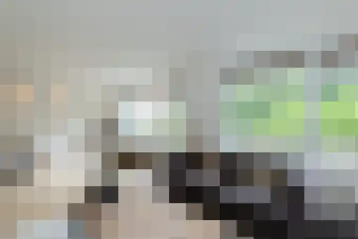 Zernikelaan 524 Papendrecht foto 2