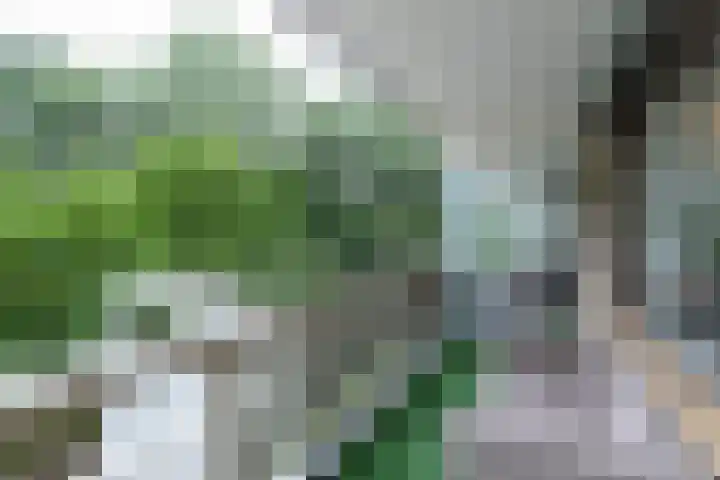 Zernikelaan 524 Papendrecht thumbnail 21