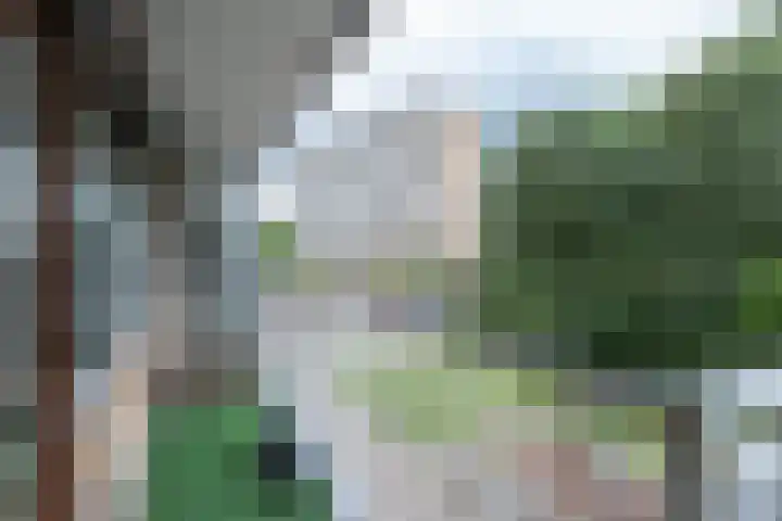 Zernikelaan 524 Papendrecht thumbnail 22