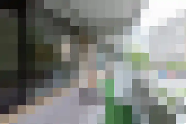 Zernikelaan 524 Papendrecht thumbnail 23