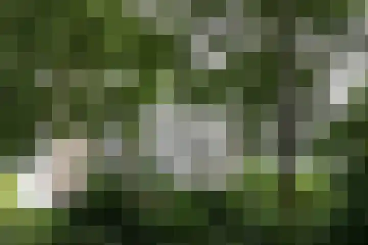 Zernikelaan 524 Papendrecht thumbnail 24