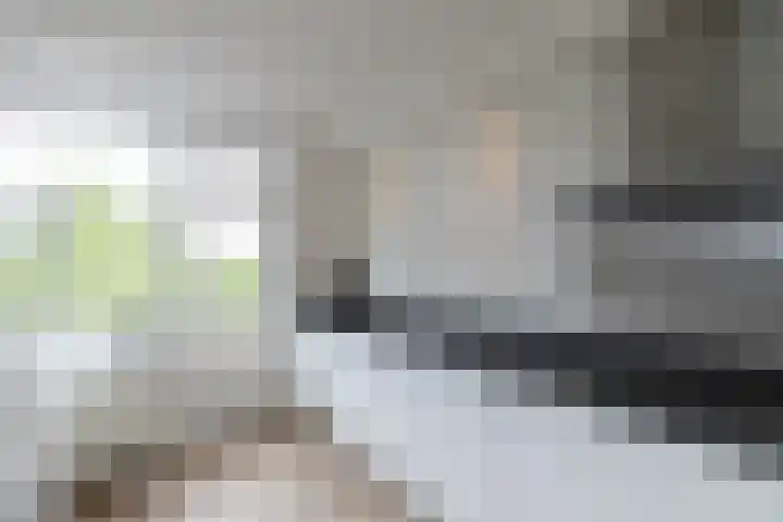 Zernikelaan 524 Papendrecht foto 3
