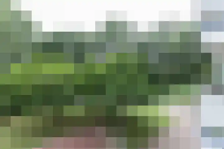Zernikelaan 524 Papendrecht thumbnail 4