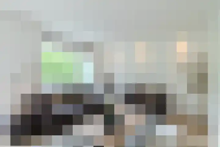 Zernikelaan 524 Papendrecht thumbnail 6