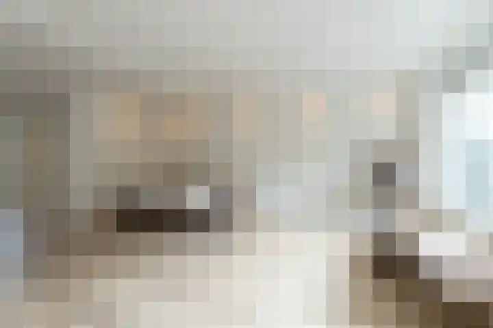 Zernikelaan 524 Papendrecht thumbnail 8