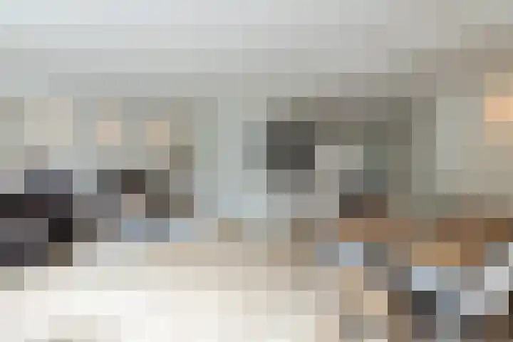 Zernikelaan 524 Papendrecht thumbnail 9
