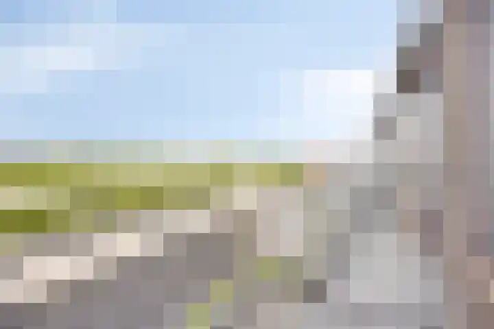 Zernikelaan 558 Papendrecht thumbnail 11