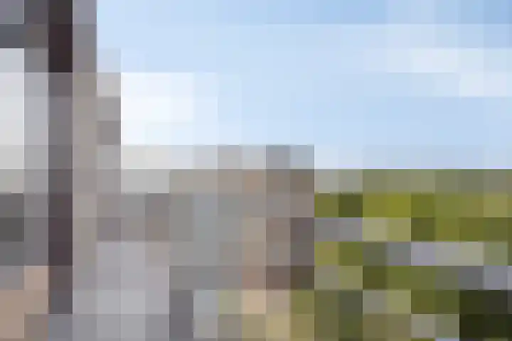 Zernikelaan 558 Papendrecht thumbnail 12