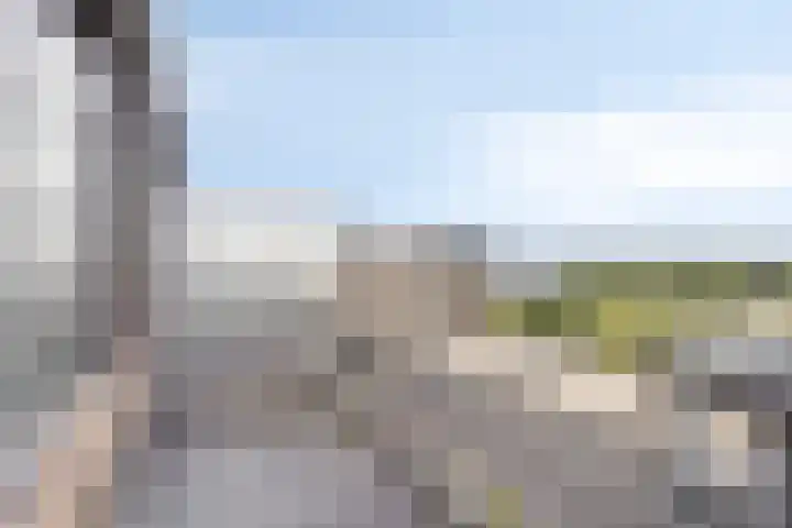 Zernikelaan 558 Papendrecht thumbnail 13
